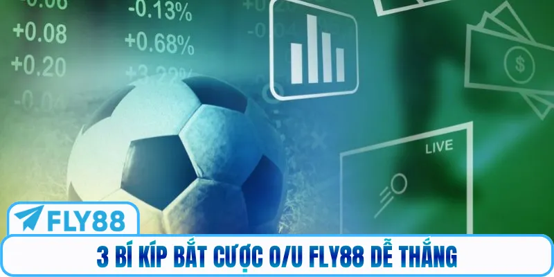 3 bí kíp bắt cược O/U Fly88 dễ thắng